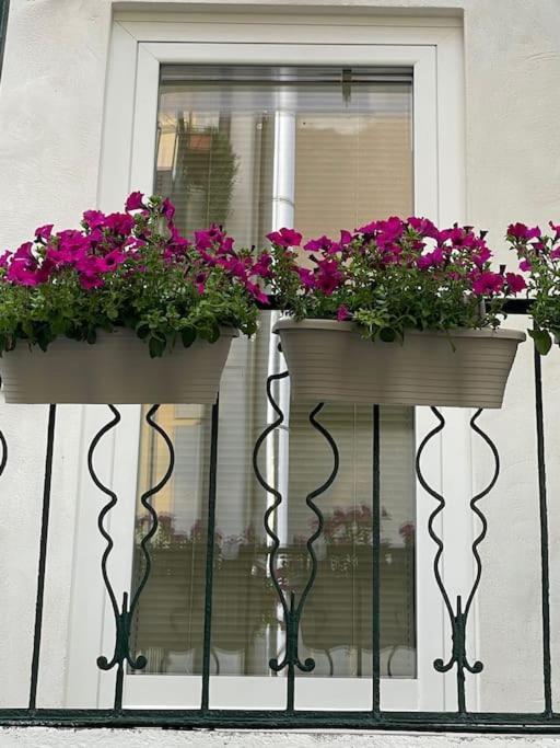Grazioso Monolocale Apartment Milan Exterior photo